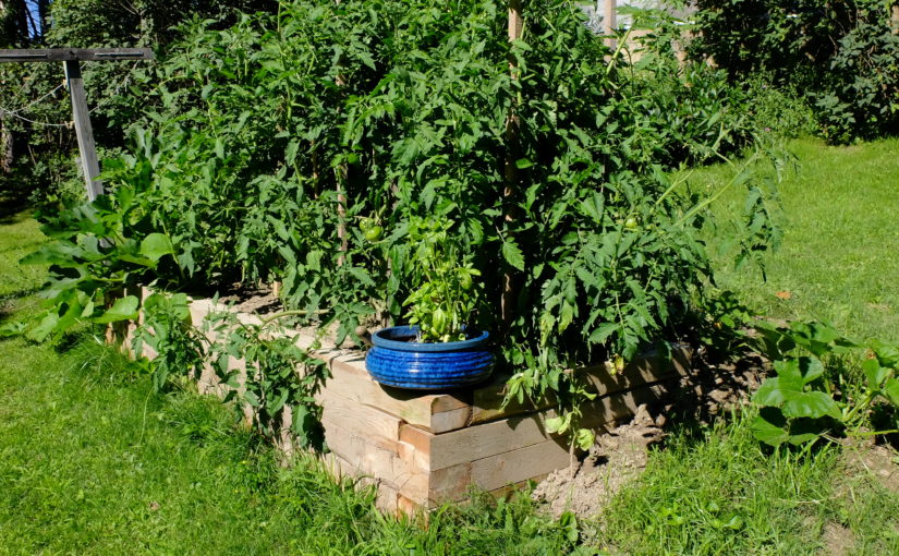 Concrete steps, a raised bed garden and damp-proofed crawlspace